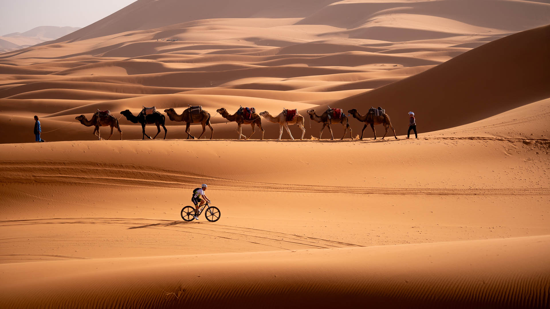 MTB
